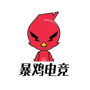 暴鸡电竞logo图标